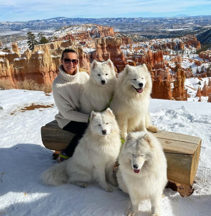 Viaja por el mundo con sus perros