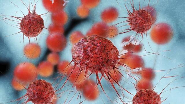 Inyectan por primera vez virus que podría matar el cáncer