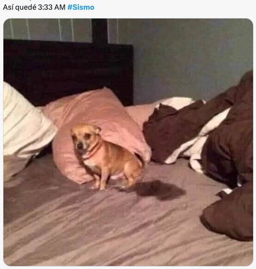 Los mejores memes de desvelados por el sismo en Tonalá, Chiapas