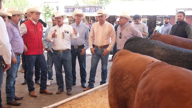 El ganado de Durango cumple con todas las normas sanitarias