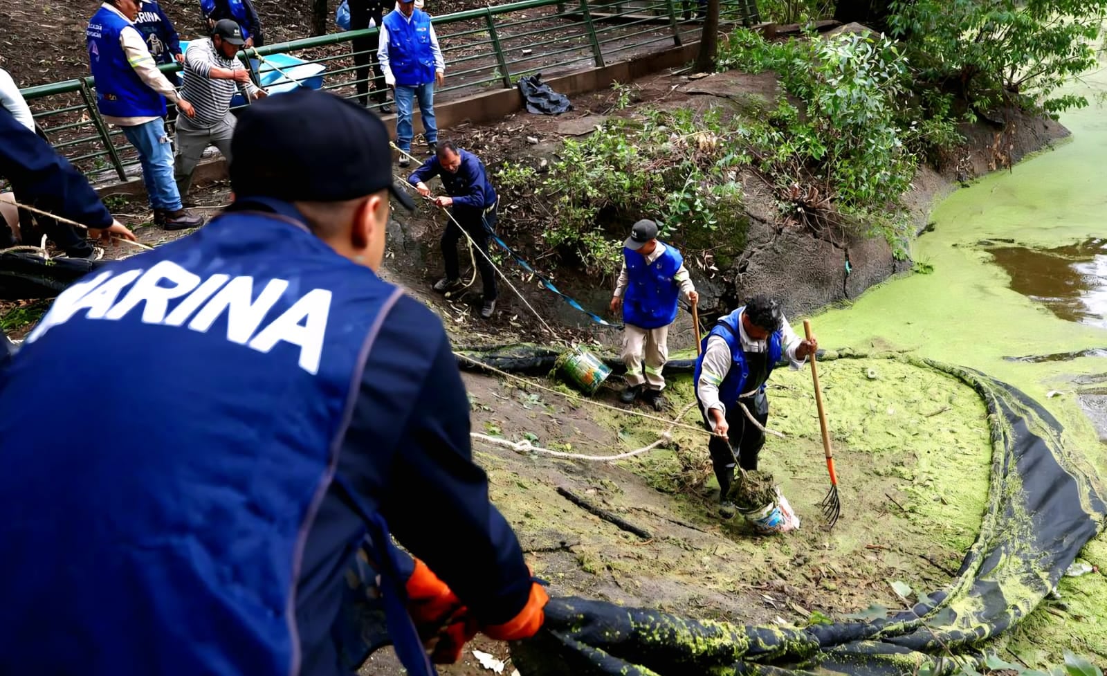 Arrancaron los trabajos de rescate del lago del Parque Ecológico Huayamilpas, con labores de limpieza del cuerpo de agua.