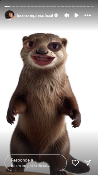 Lucerito Mijares invita a Mario Bezares a ver "El Mago"