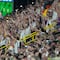 Captan a fan de Alemania drogándose en las gradas de un estadio de la Eurocopa 2024