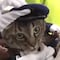 Un gato es nombrado como Jefe de Policía por un día