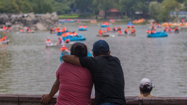 Bosque de Chapultepec desde el lago
