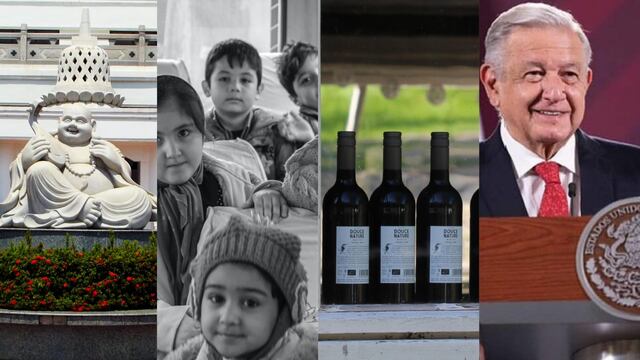 Este 13 de noviembre es el cumpleaños de AMLO, el Día de la Bondad, el Día Mundial de los Huérfanos y el Día Mundial del Enoturismo