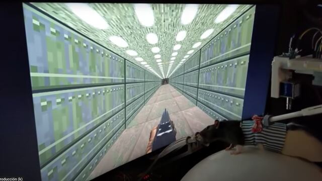 Ratas jugando 'Doom II'