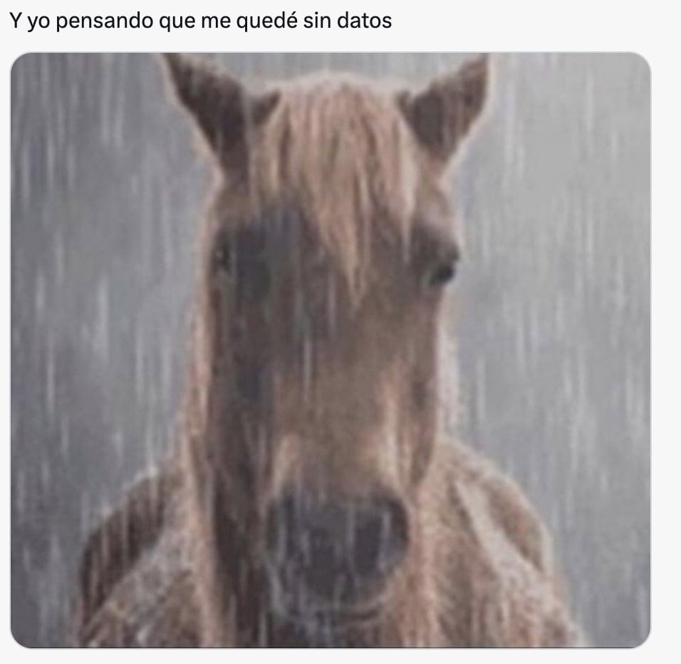 Caída de YouTube memes