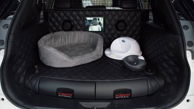 Un vehículo atractivo para humanos y perros.