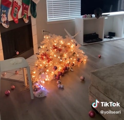 Gatito que arruina la Navidad