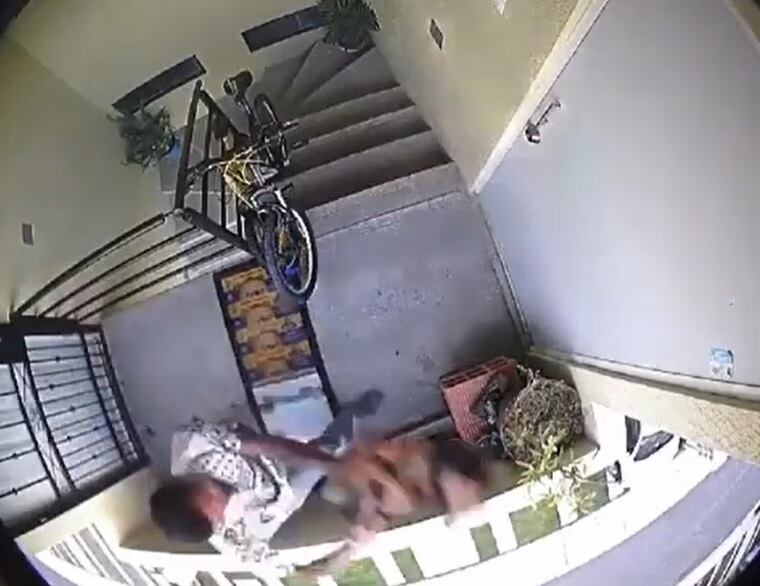 Perrita es arrojada de tercer piso en Huejotzingo, Puebla