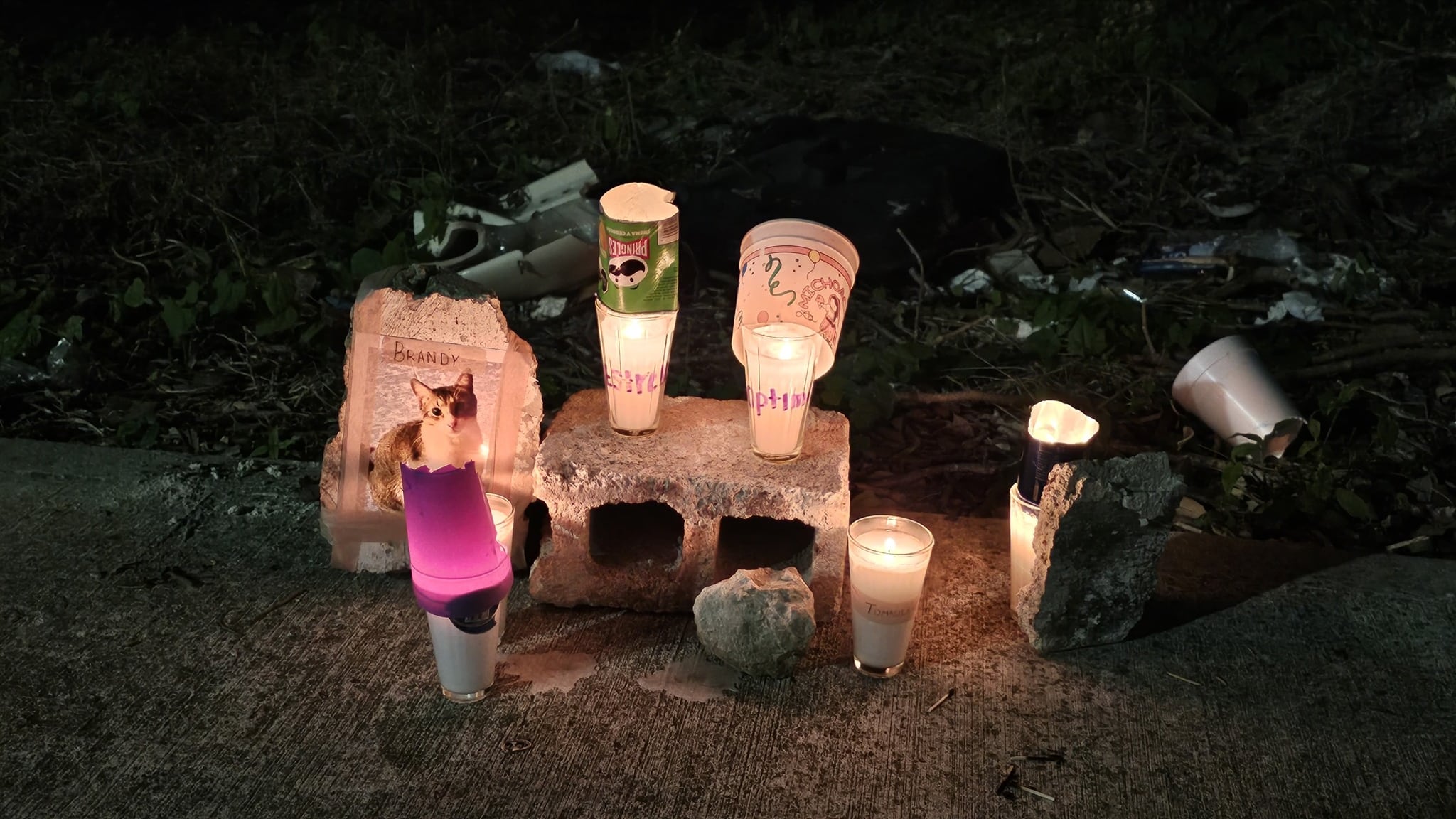 Crematorio “Xibalbá” de Chetumal es investigado por presunto fraude y abandono de mascotas