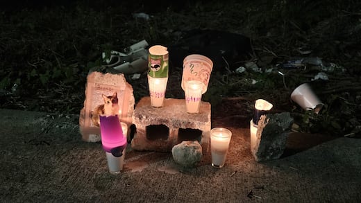 Crematorio “Xibalbá” de Chetumal es investigado por presunto fraude y abandono de mascotas