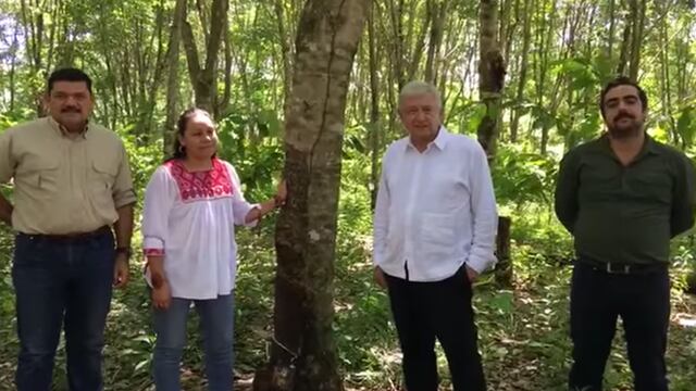 Andrés Manuel López Obrador en  la selva Lacandona.