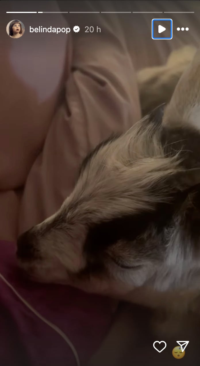 Belinda presume a Flora, su nueva mascota que es una cabra bebé