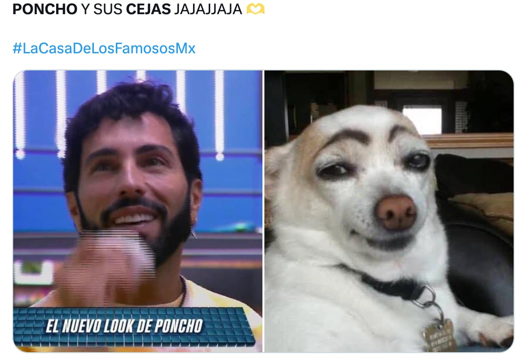 Poncho de Nigris y sus cejas desatan memes en redes sociales