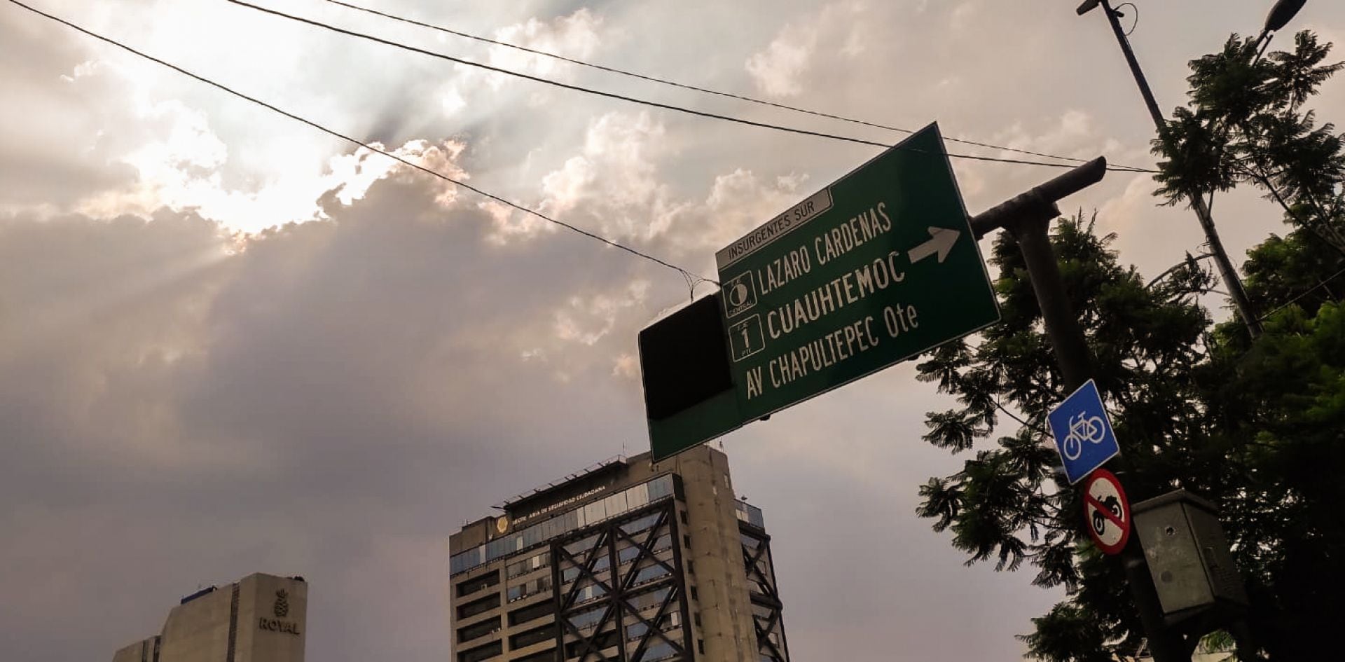 Pasajes cotidianos en la Colonia Roma norte