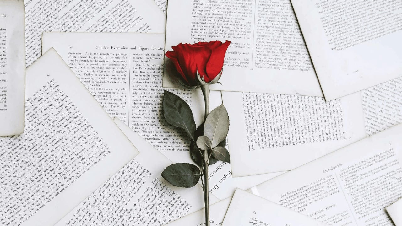 ¿Por qué se regala una rosa y un libro el 23 de de abril? El significado tras la curiosa tradición