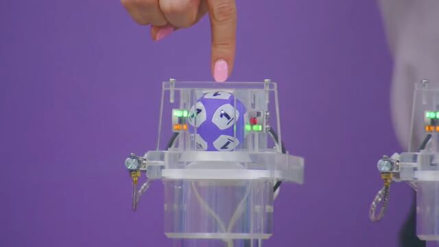 Resultados Sorteo Gana Gato 2661 de Lotería Nacional: Ganadores de hoy 22 de febrero 2024