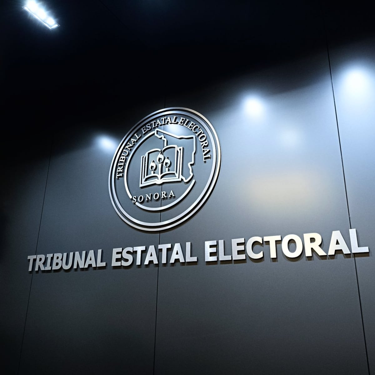 Tribunal Electoral de Sonora admite denuncia contra Morena por actos anticipados de campaña