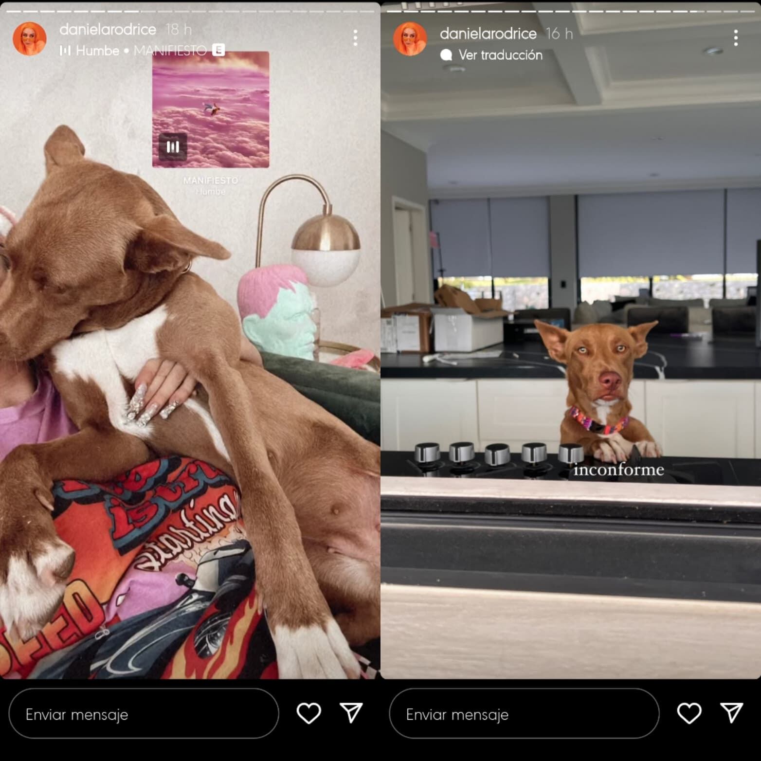 Daniela Rodrice muestra a la mascota de su sugar.