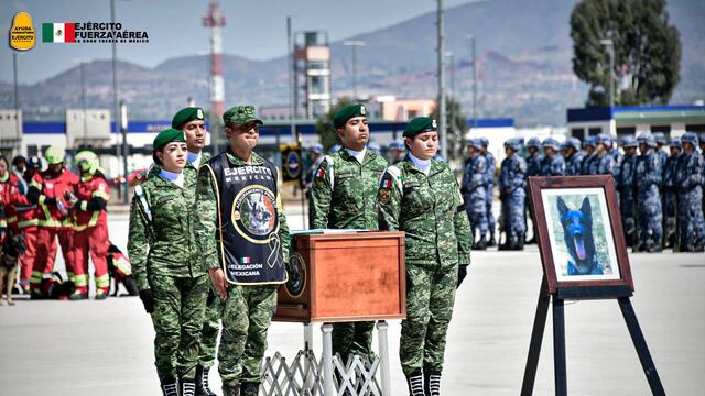 Proteo en México: Sedena y perros brigadistas le rinden homenaje en Santa Lucía (VIDEO)