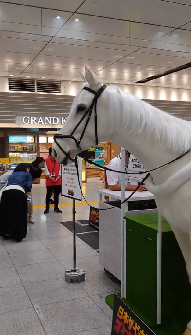 Caballo robot de Japón