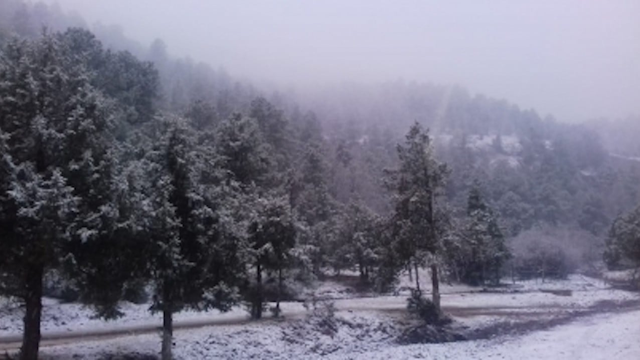 Nieve