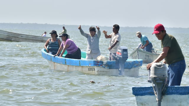 Javier May Rodríguez supervisó acciones de Pescando Vida y la repoblación de la laguna Mecoacán.