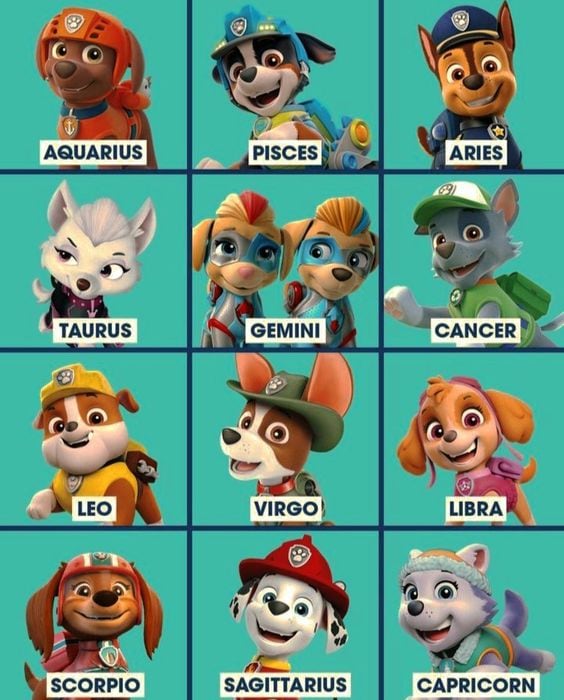 Fondo de los nuevos cachorros de Paw Patrol