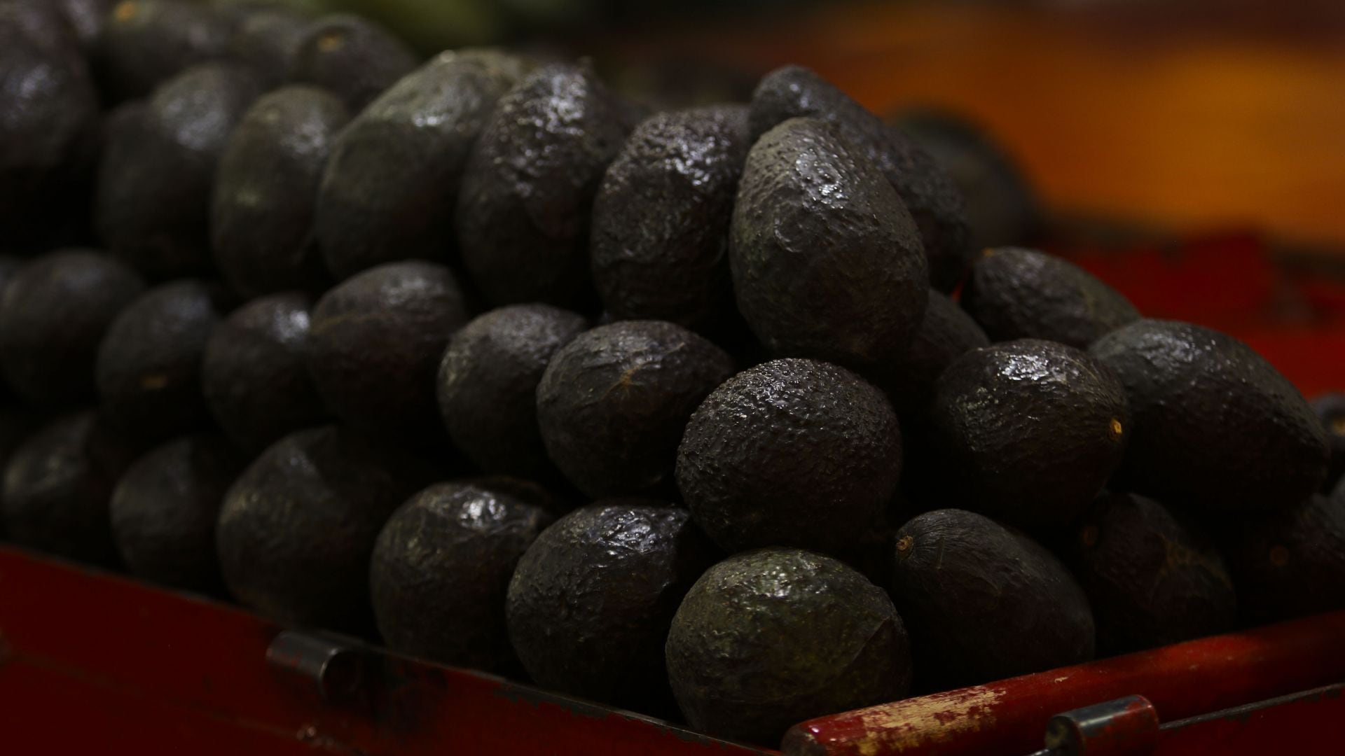 El aguacate no puede ser rehén de Washington