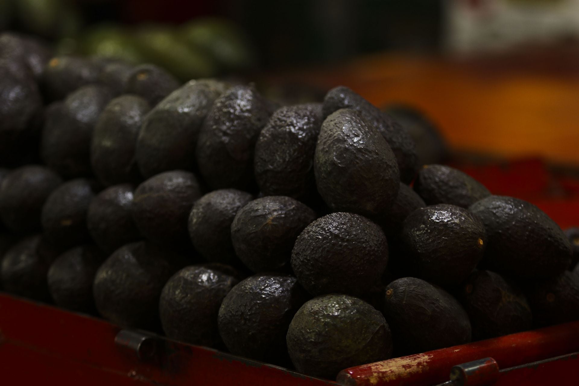 Aguacate