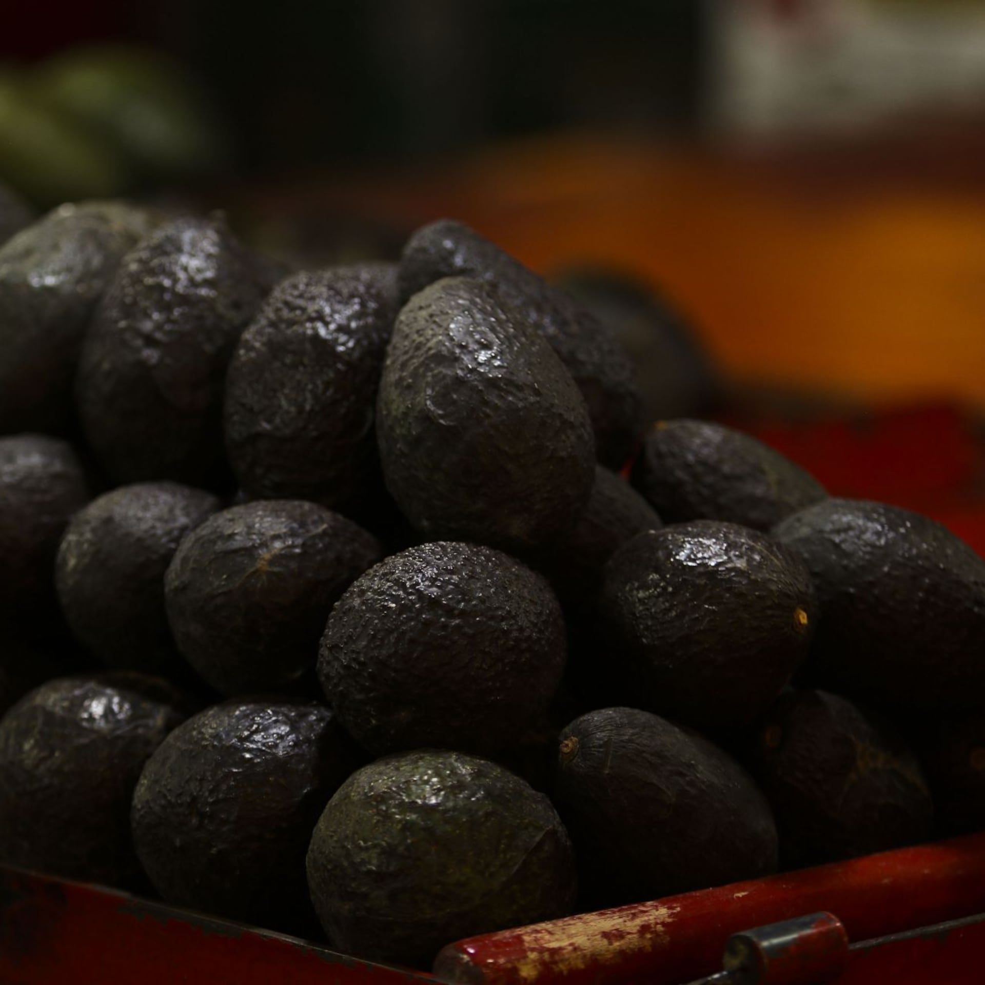 El aguacate no puede ser rehén de Washington