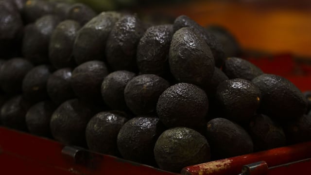 Venta de aguacates en la Central de Abastos de la Ciudad de México
