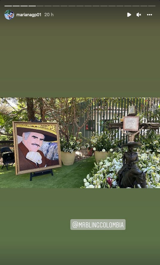 Hacen cuadro de Vicente Fernández con brillantes.