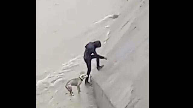 Un joven rescata a un perro atrapado en un arroyo durante las fuertes lluvias provocadas por Fernand.