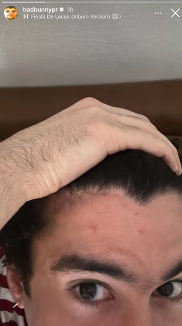 Bad Bunny