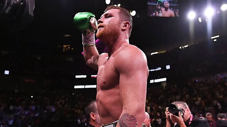 Canelo Álvarez es campeón de la AMB, CMB y OMB.