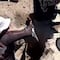 Guerreros Buscadores de Jalisco comparten video de crematorios hallados en rancho Izaguirre del CJNG