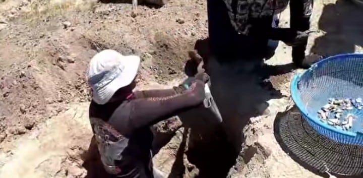 Guerreros Buscadores de Jalisco publican evidencias de crematorios en rancho Izaguirre del CJNG en Teuchitlán