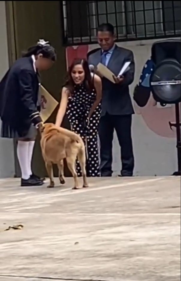 Perrito Flavio se graduó de la primaria y hasta diploma le dieron para presumirlo en TikTok