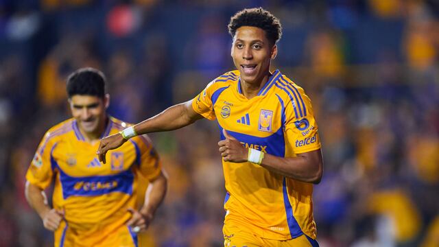 Tijuana vs Tigres: Hora y canal para ver el partido de la Liga MX