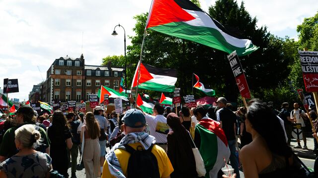 Activistas por gaza.