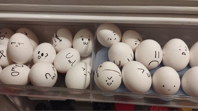 ¿Qué huevo eres? Les pintaron carita con personalidad