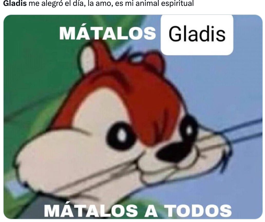Memes de Gladis, la orca asesina