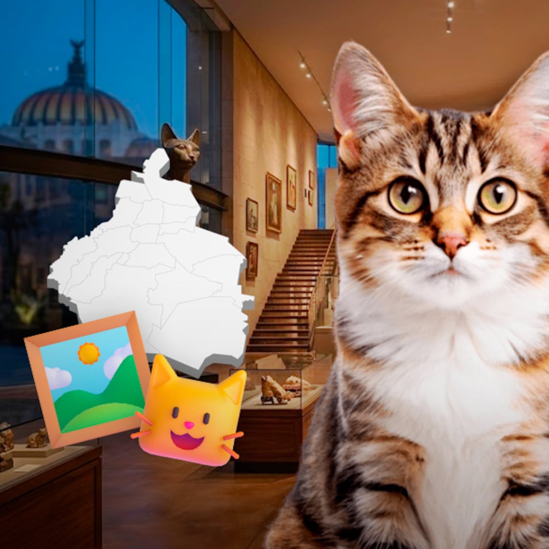 Museo del Gato en CDMX abre el 8 de agosto: así será la experiencia inmersiva