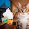 Museo del Gato en CDMX abre el 8 de agosto: así será la experiencia inmersiva