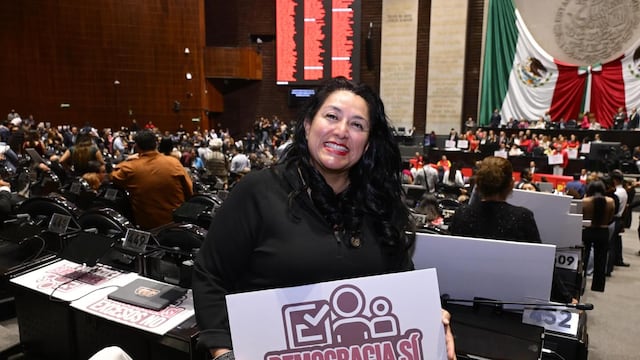 María Damaris Silva Santiago, diputada federal de Morena.