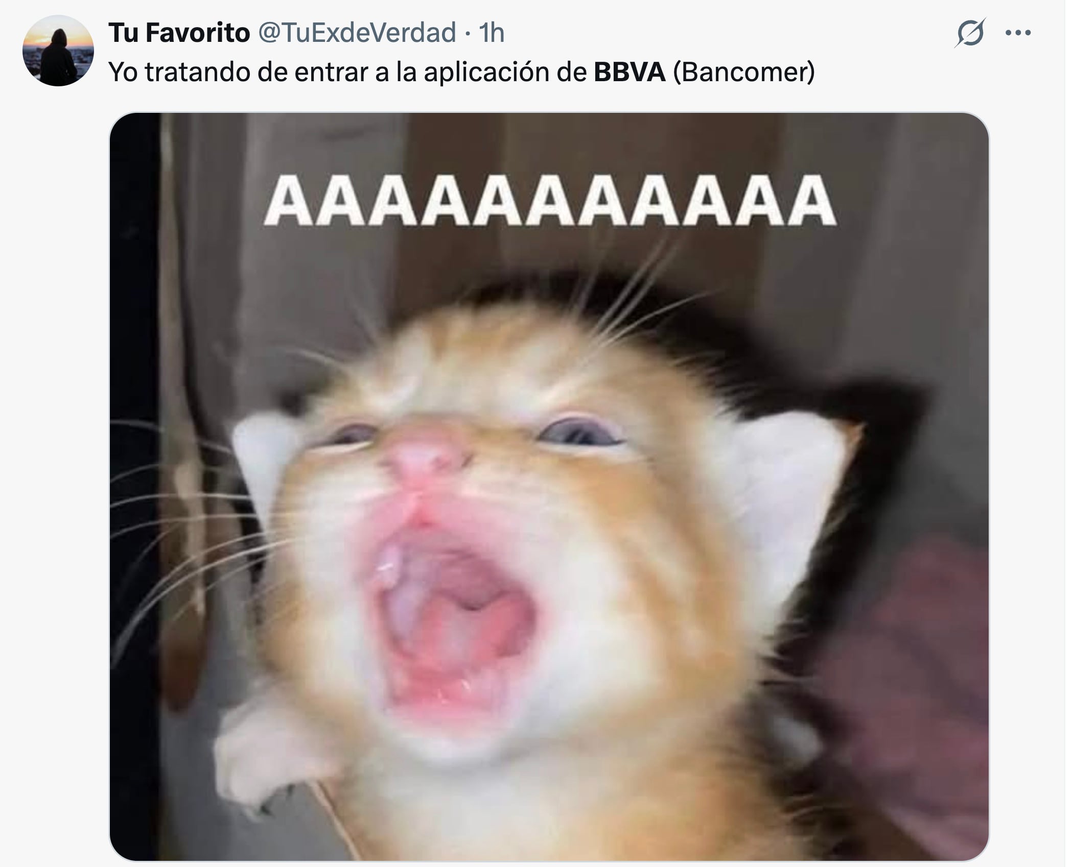 BBVA se cayó y dejó los mejores memes porqué los usuarios no perdonan