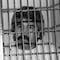 ¿Quién fue Hermelinda Quintero, madre de Rafael Caro Quintero?